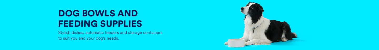 petco slow feeder bowl