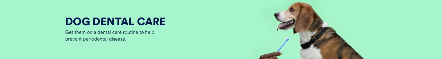 dog dental wipes petco