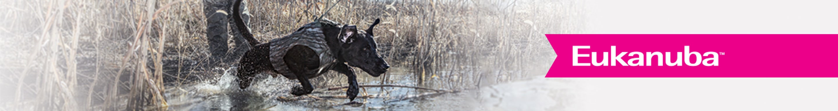 eukanuba grain free puppy food