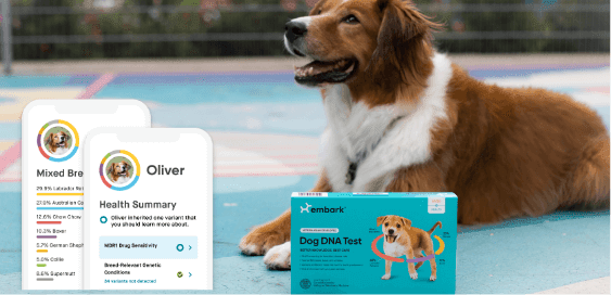 Phone screens show Oliver the dog’s health and breed summaries. Oliver poses with Dog DNA Test box.