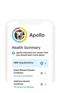Apollo’s health summary on phone screen reports Apollo inherited a variant you should learn more about
