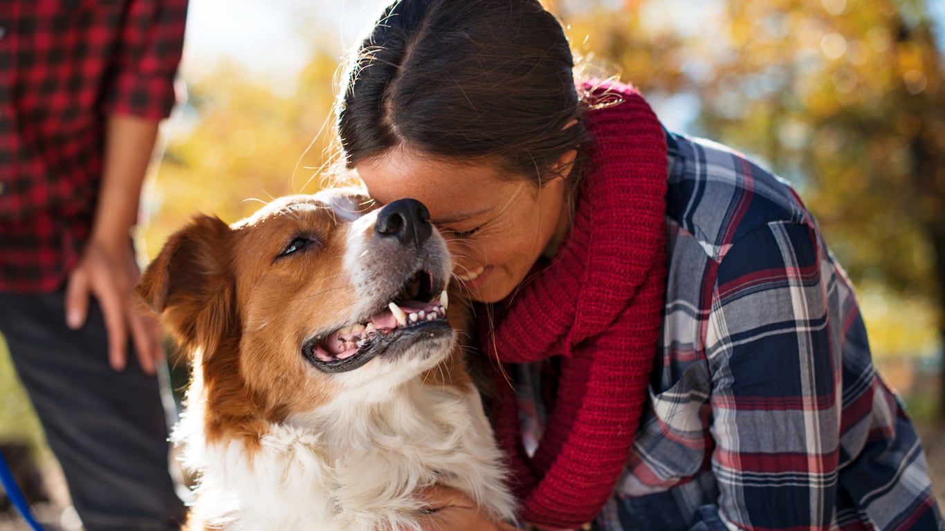 Help Fix Your Dog's Seasonal, Environmental & Food-Based Allergies