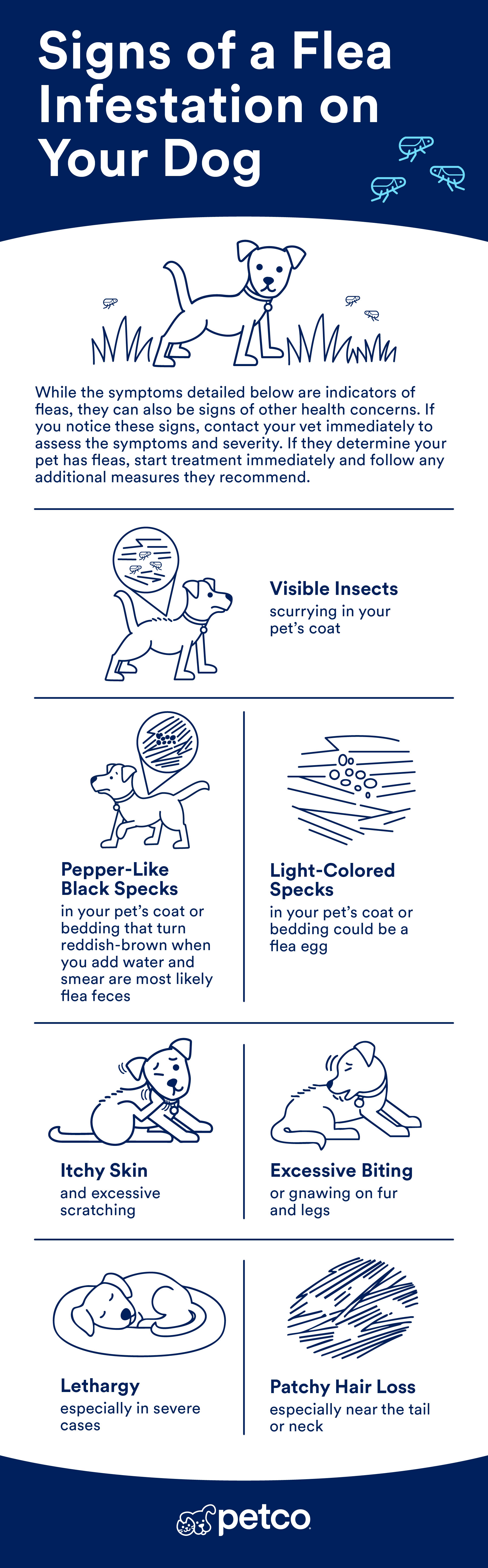 Infographic image