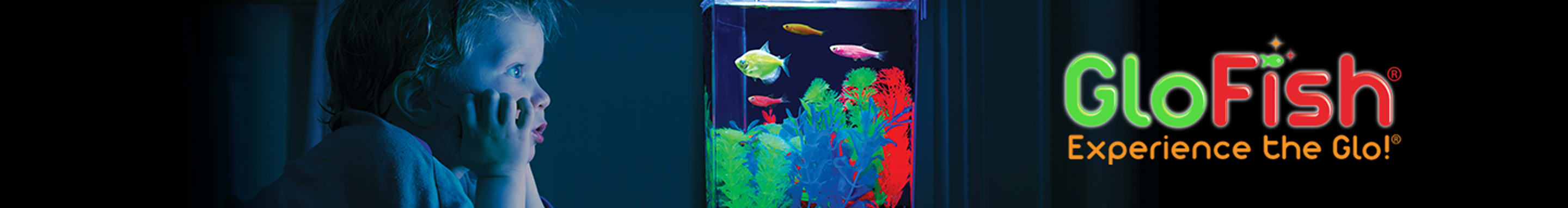 GloFish. Experience the Glo.