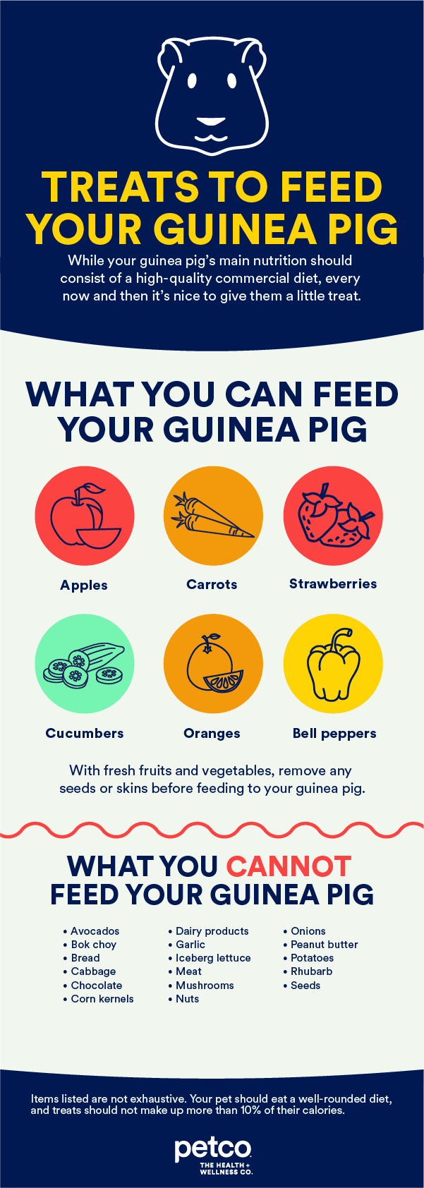 Safe food for guinea pigs