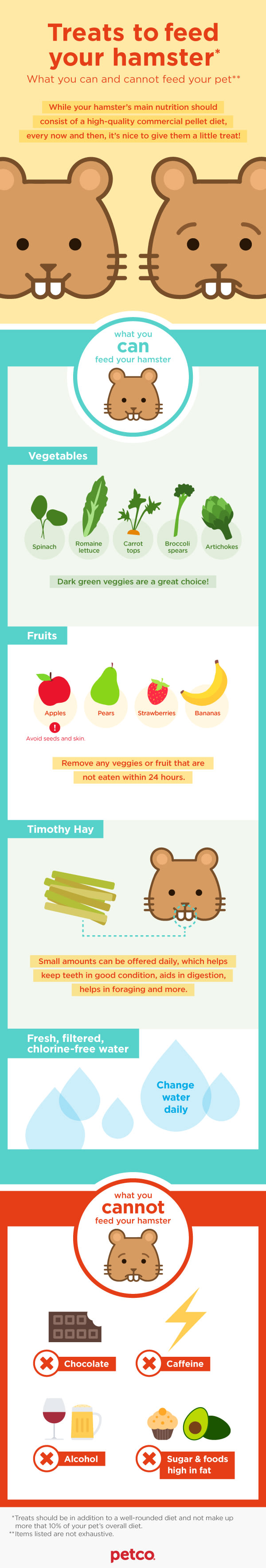 what can hamsters eat and not eat list