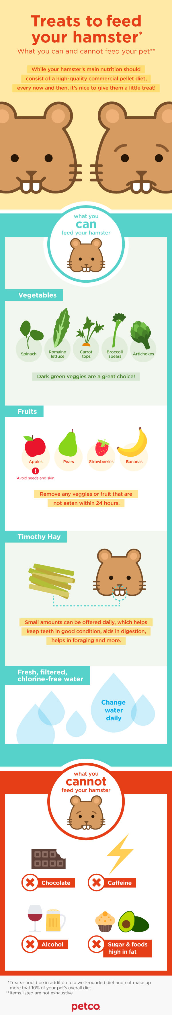 what to feed a syrian hamster