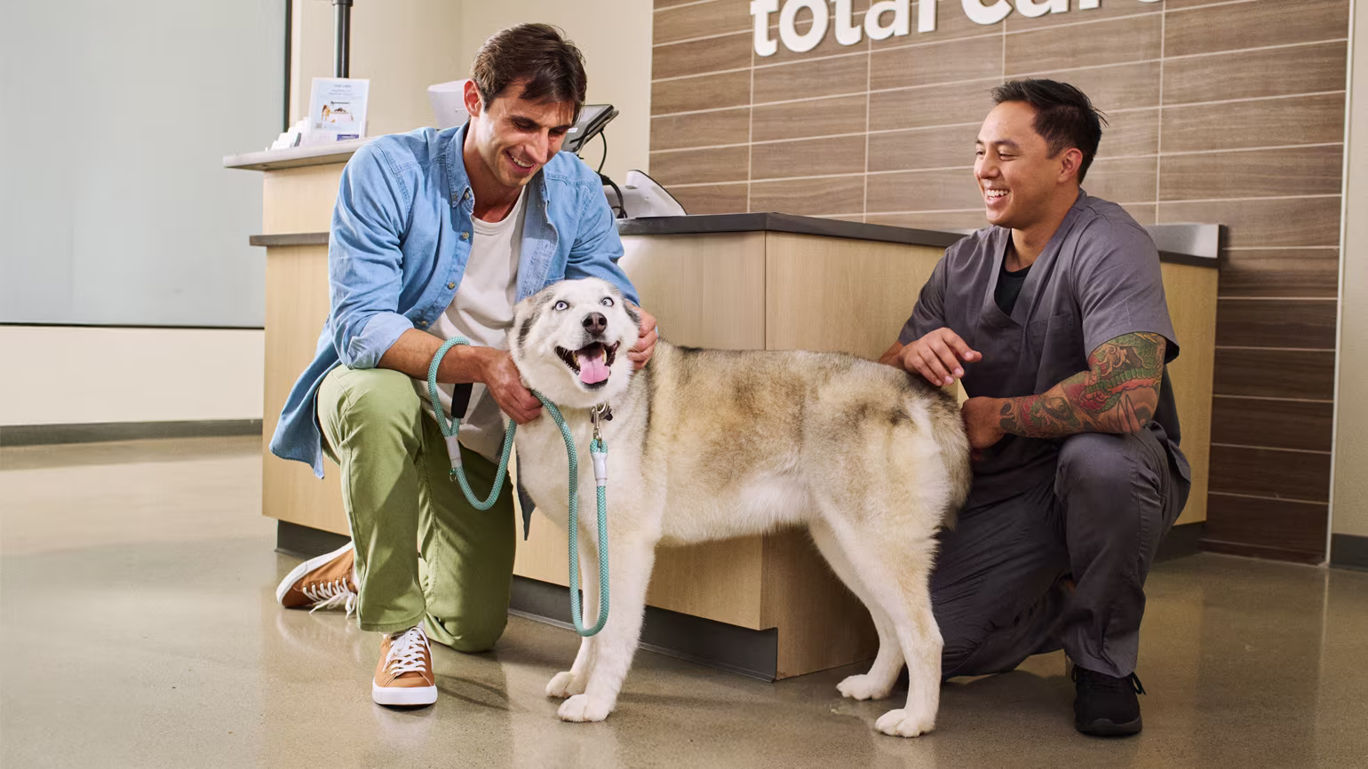 Heartworm Prevention 101: What Every Dog Owner Needs to Know