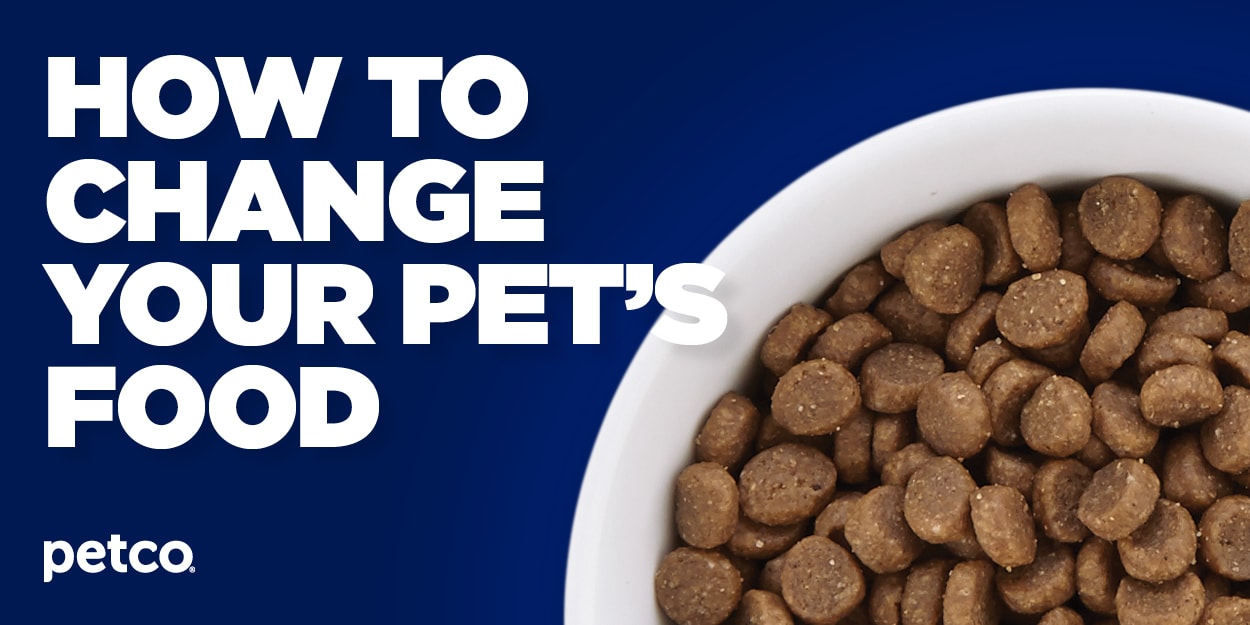 How To Transition Your Dog Or Cat To A New Food Petco