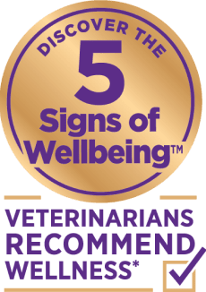 Discover the 5 signs of wellbeing