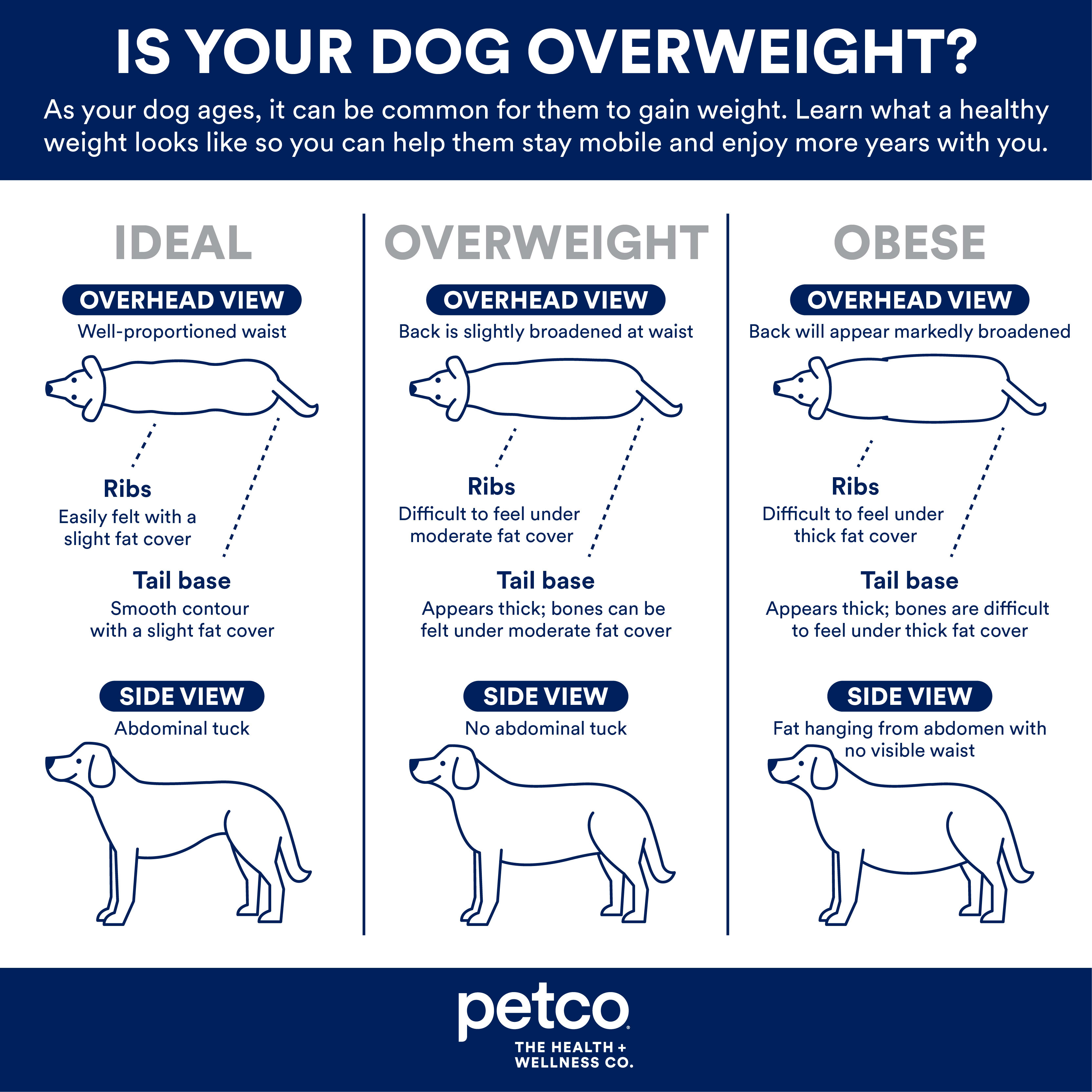 Calculating Your Dog's Healthy Weight