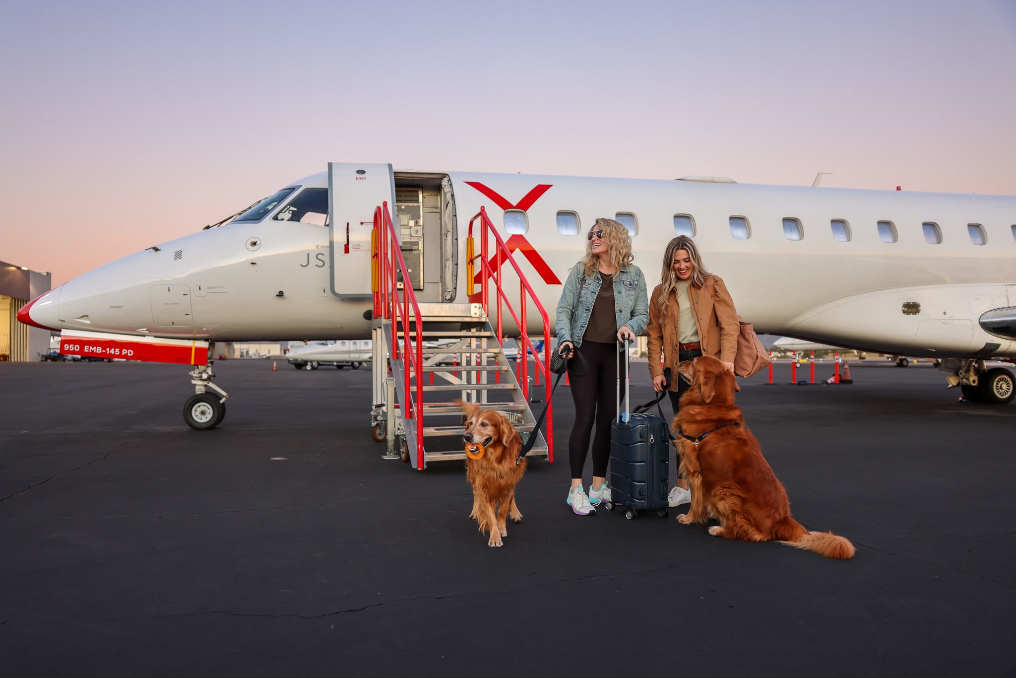 Dog Air Travel: The Best Flight Experiences for Your Pup