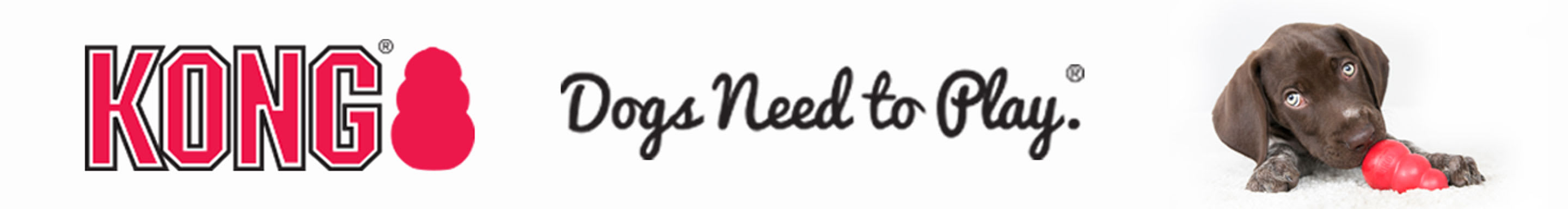 kong dogs need to play