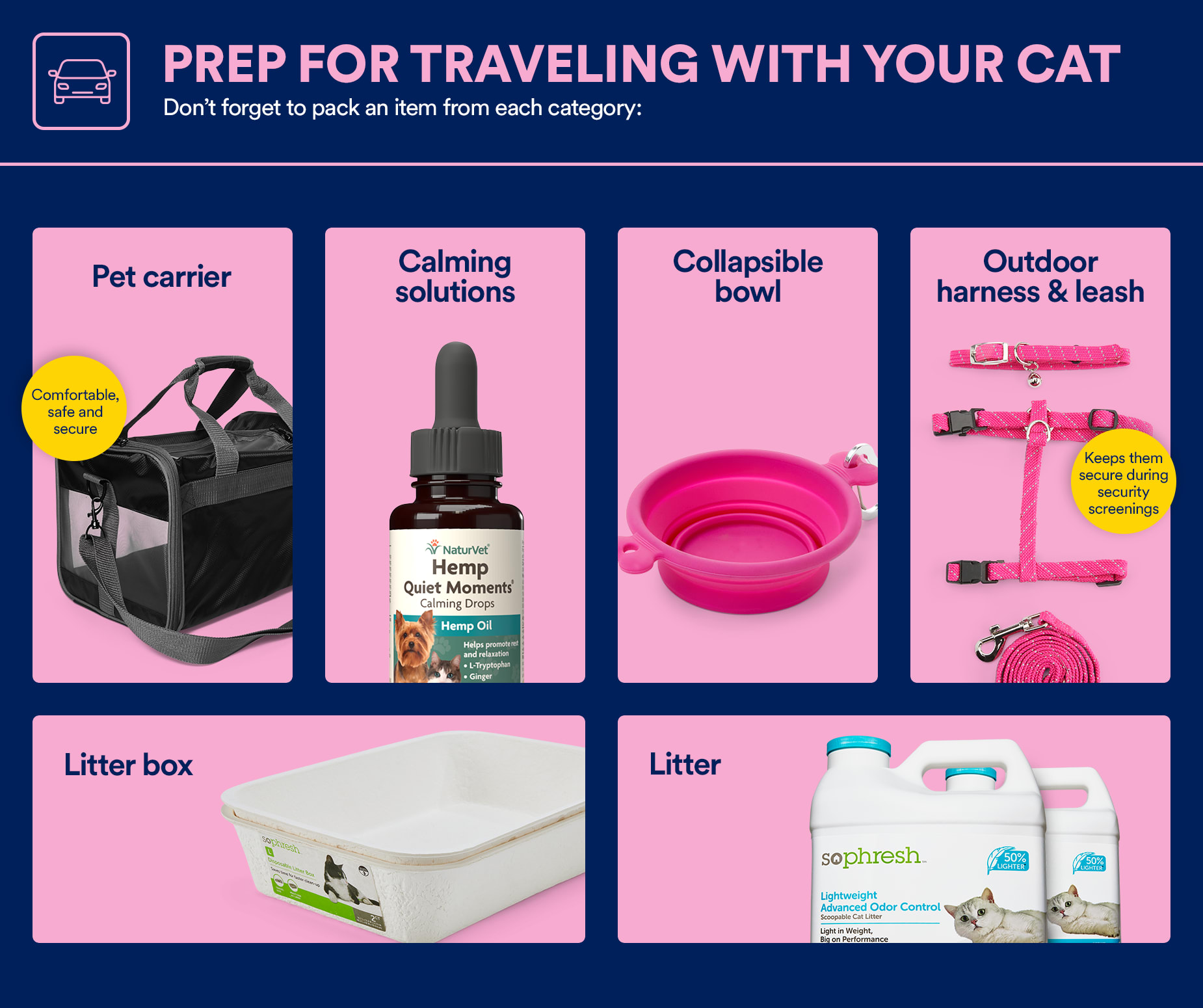 Preparing Your Cat for Travel