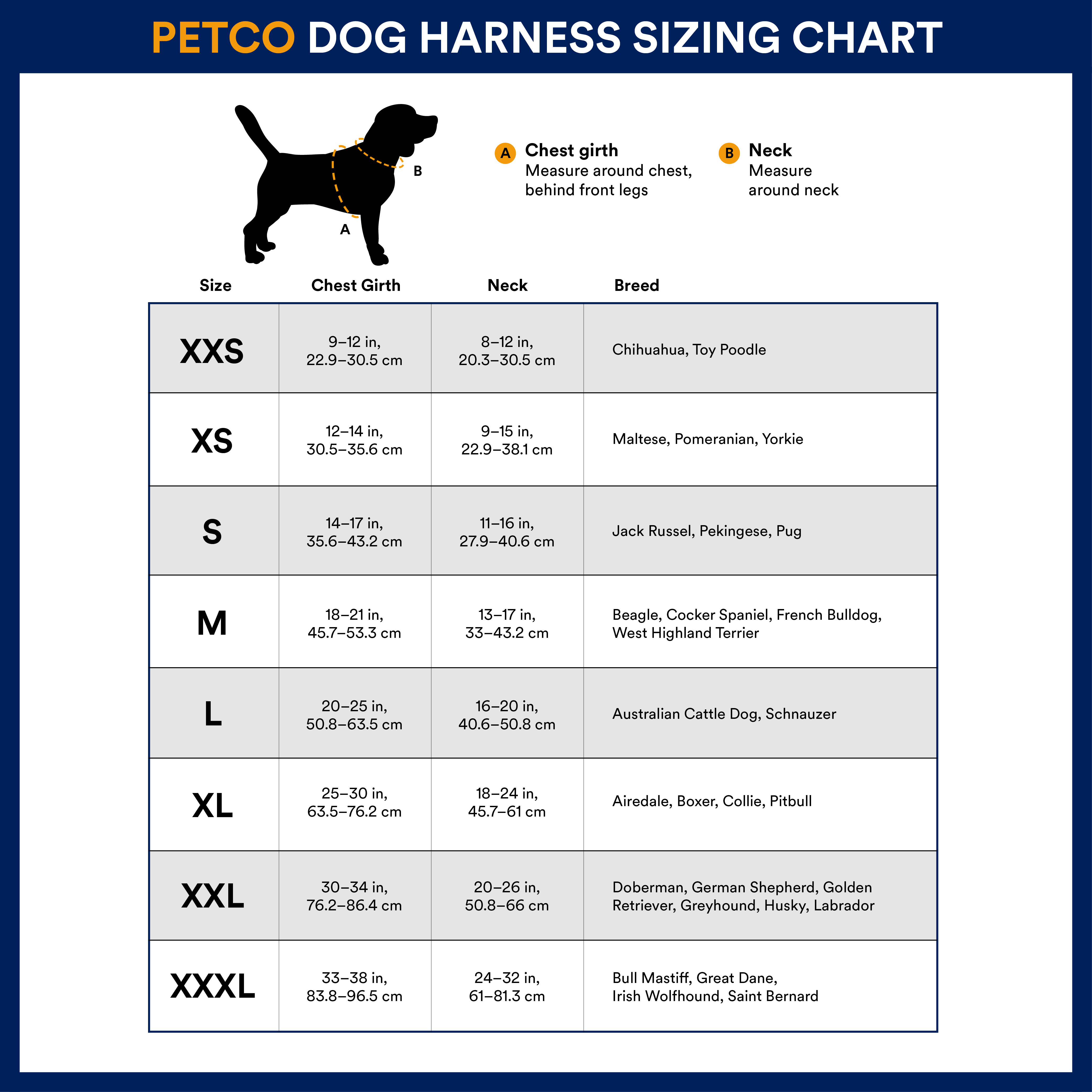 Harness measurements shop