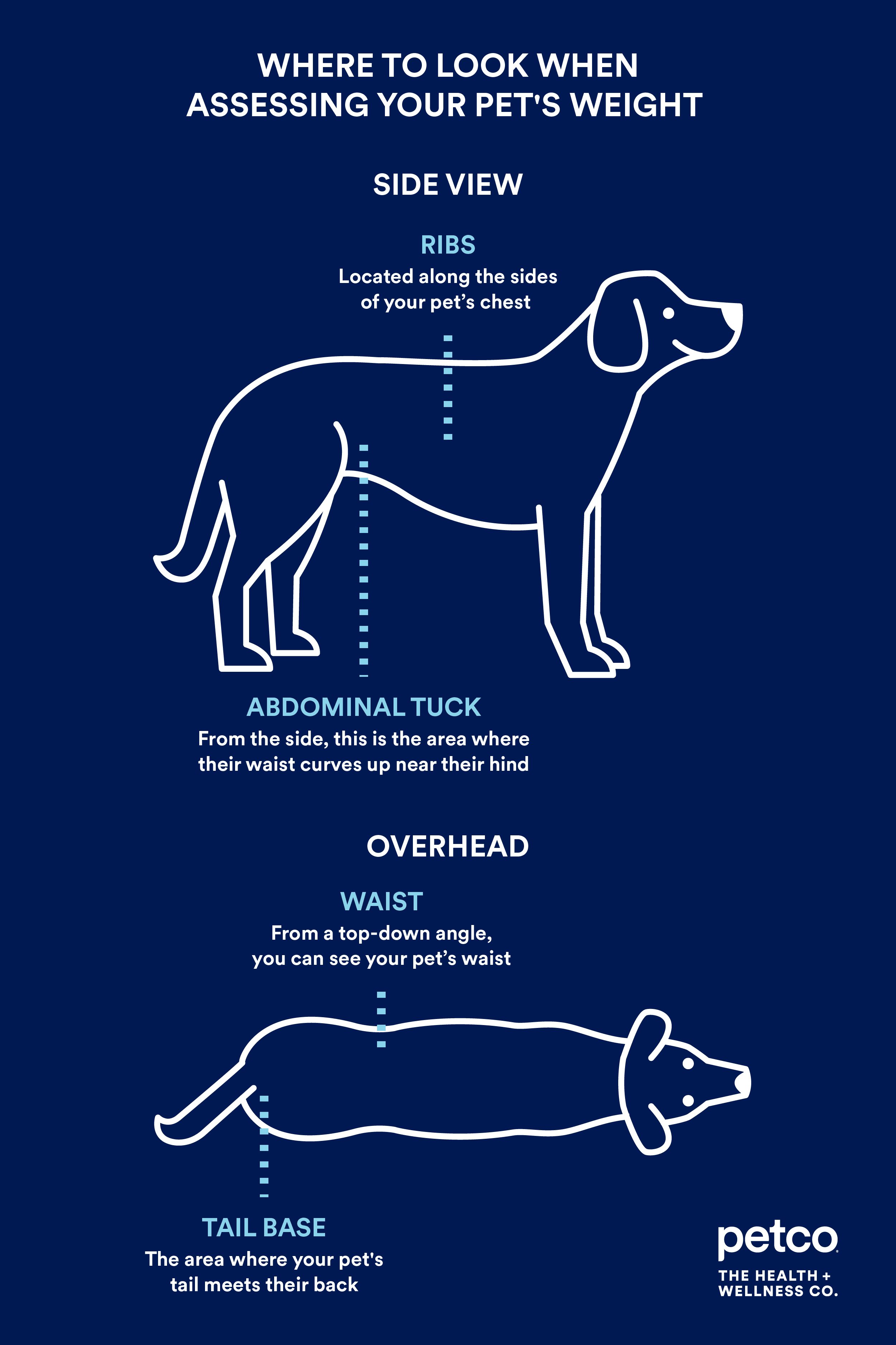 How to Weigh Your Dog at Home