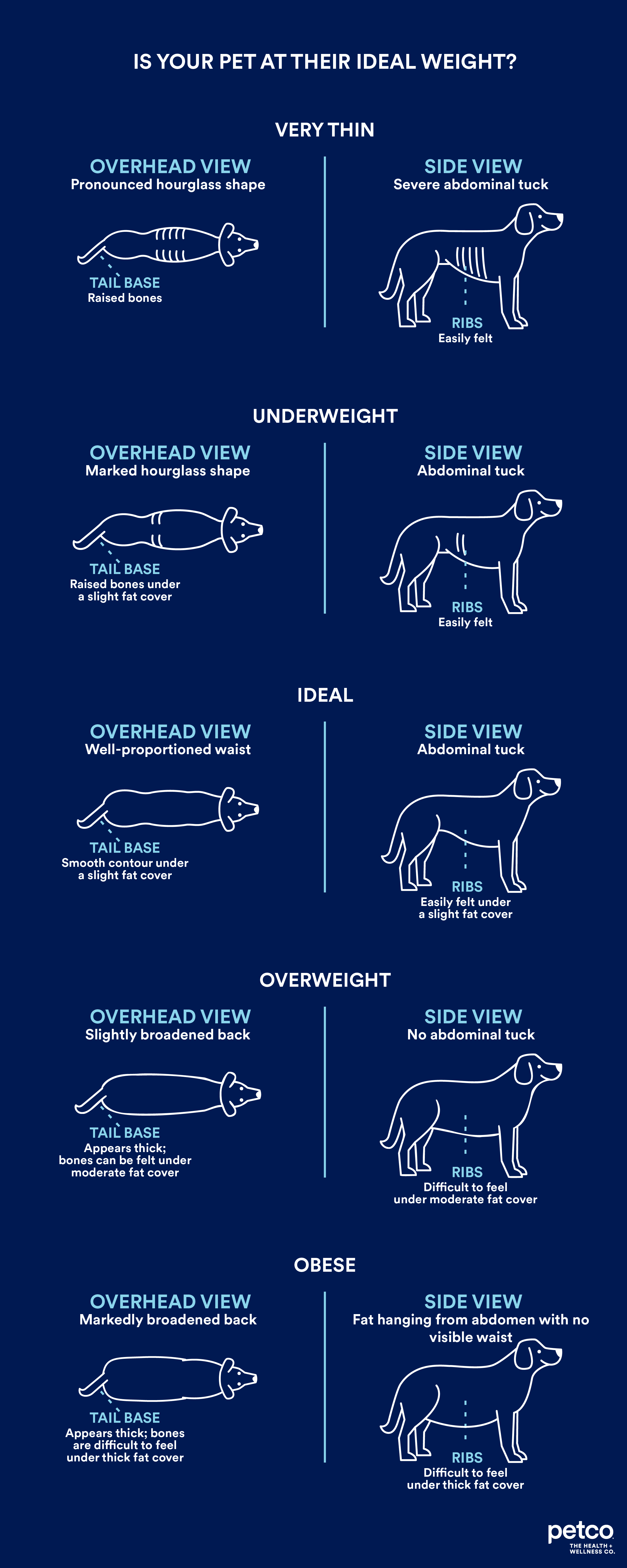 How to Determine Your Dog's Ideal Weight