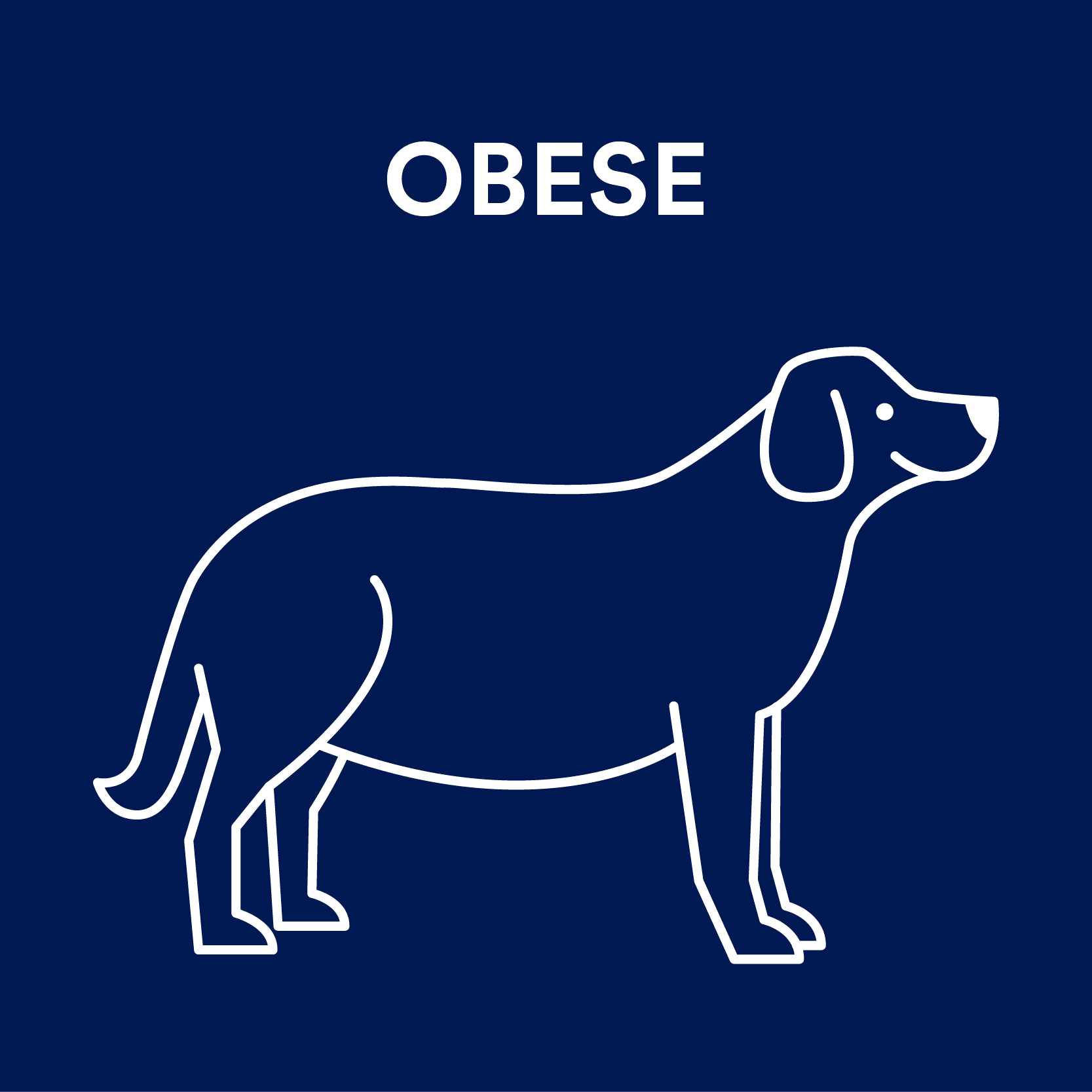 https://assets.petco.com/petco/image/upload/f_auto,q_auto/Obesity_Dog%20Weight%20Icons_obese