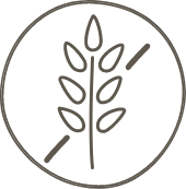 A stalk of wheat with a slash through it