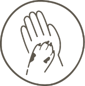 A human hand holding a dog’s paw