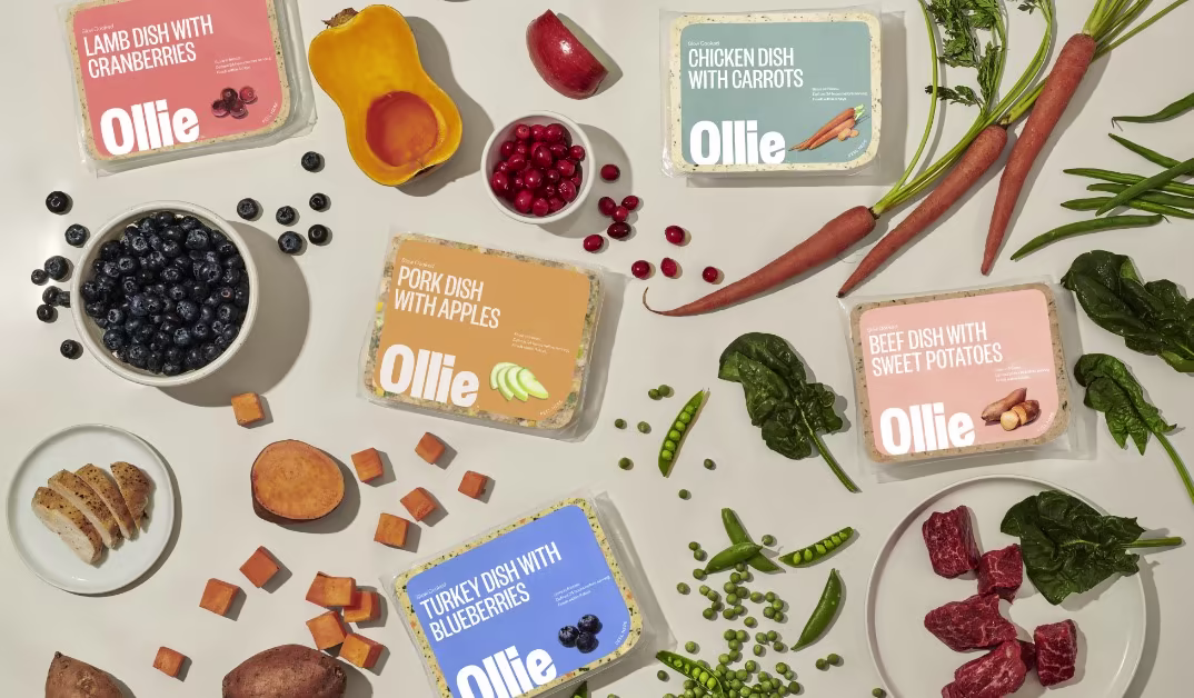 An assortment of Ollie recipes and fresh ingredients scattered across a surface