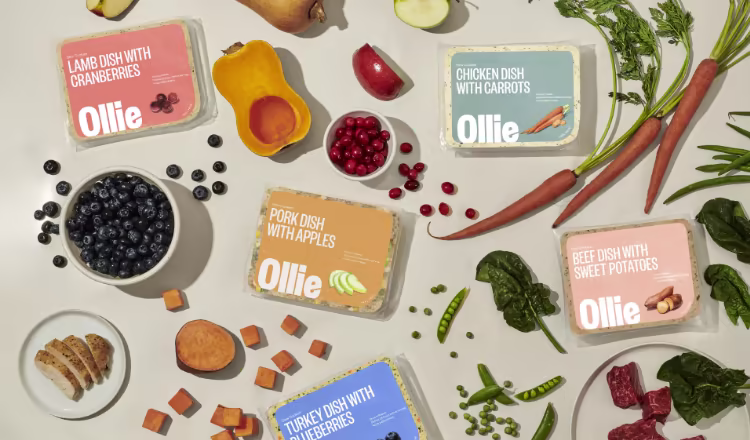 An assortment of Ollie recipes and fresh ingredients scattered across a surface