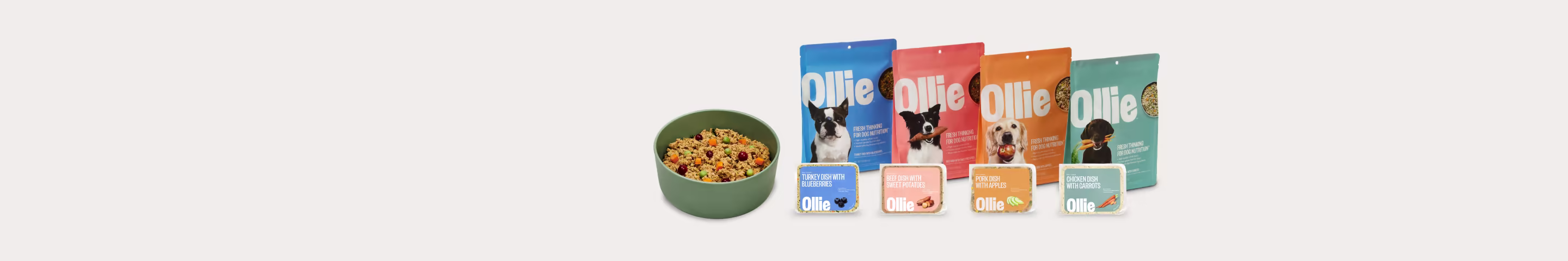 Four Ollie recipes and a bowl of fresh food