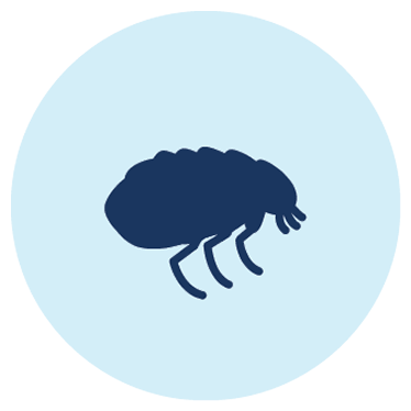 Flea icon