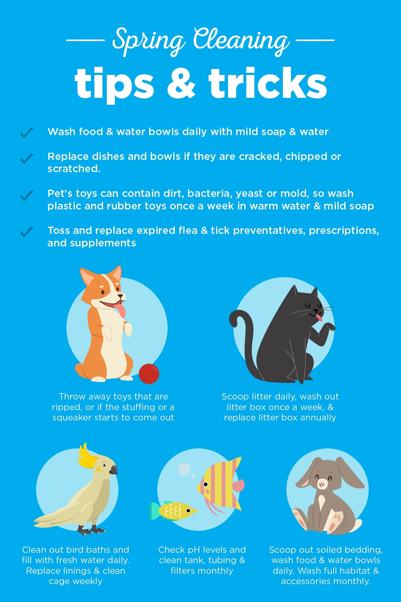 litter box cleaning tips