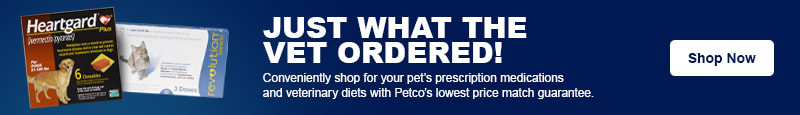 Pet prescriptions available to order at Petco