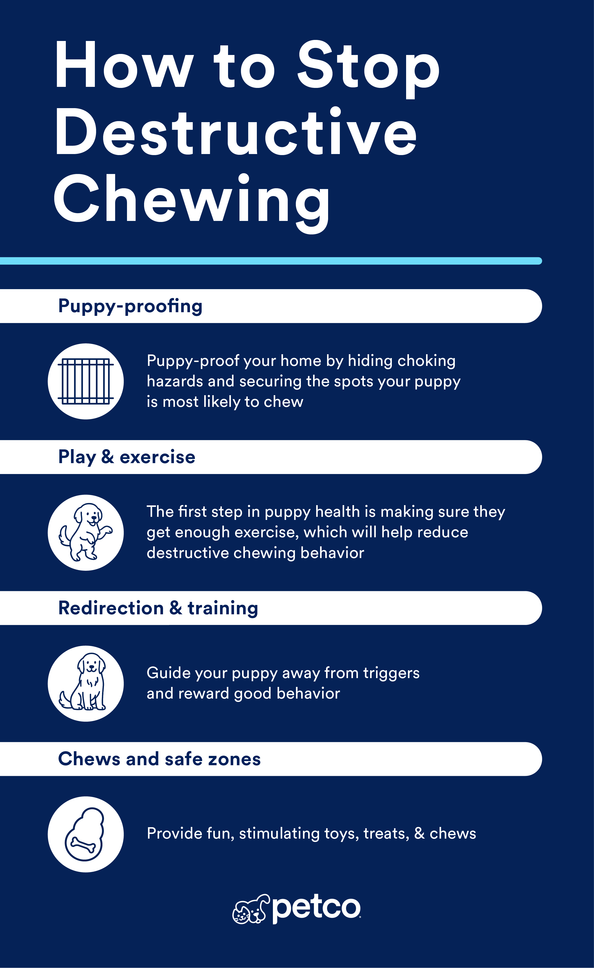 puppy chewing infographic