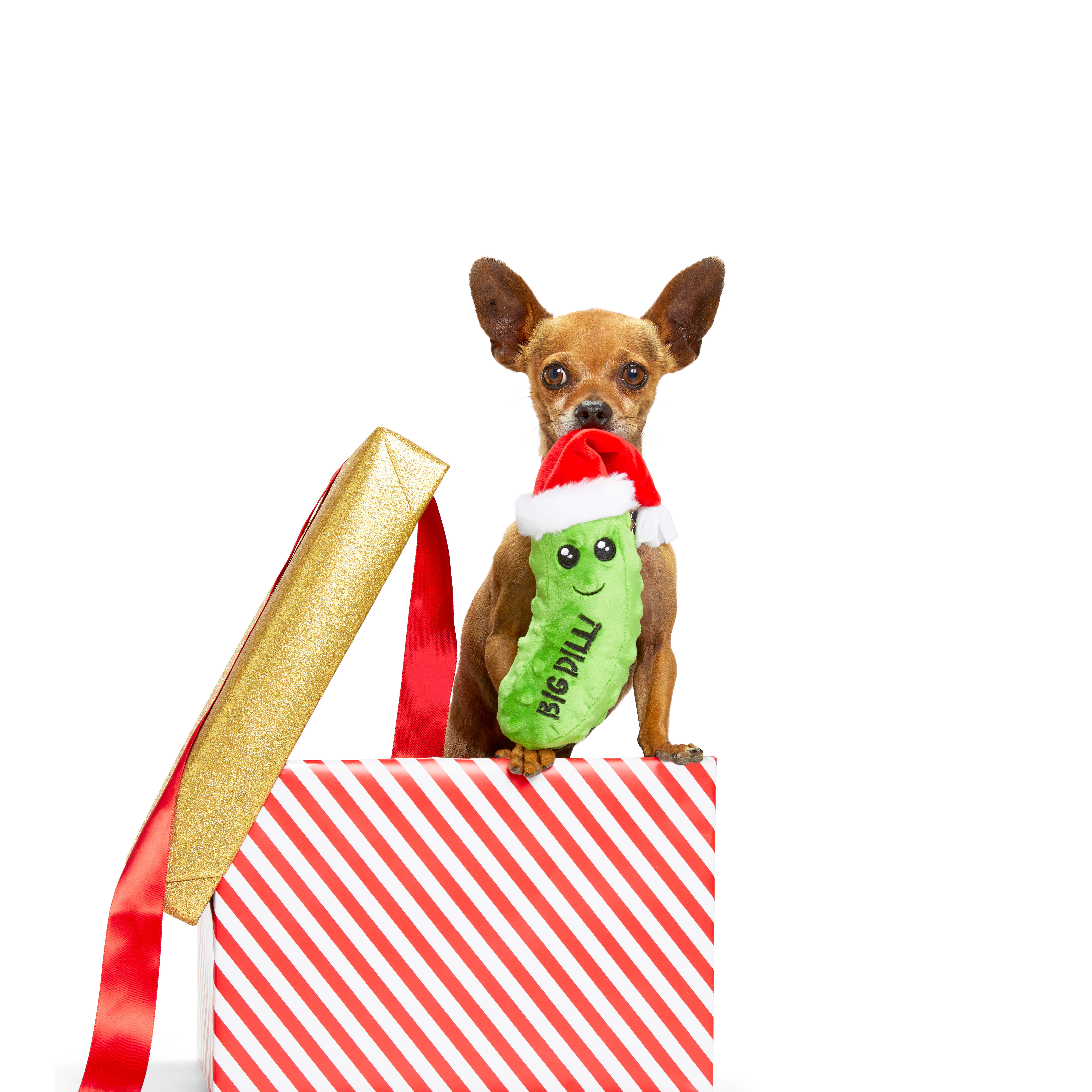 https://assets.petco.com/petco/image/upload/f_auto,q_auto/Puppy_In_A_Present_3409-FLIP