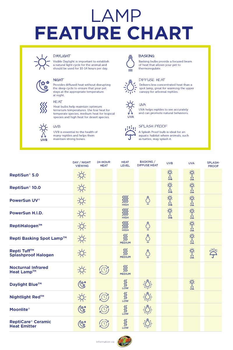reptile infrared heat lamp