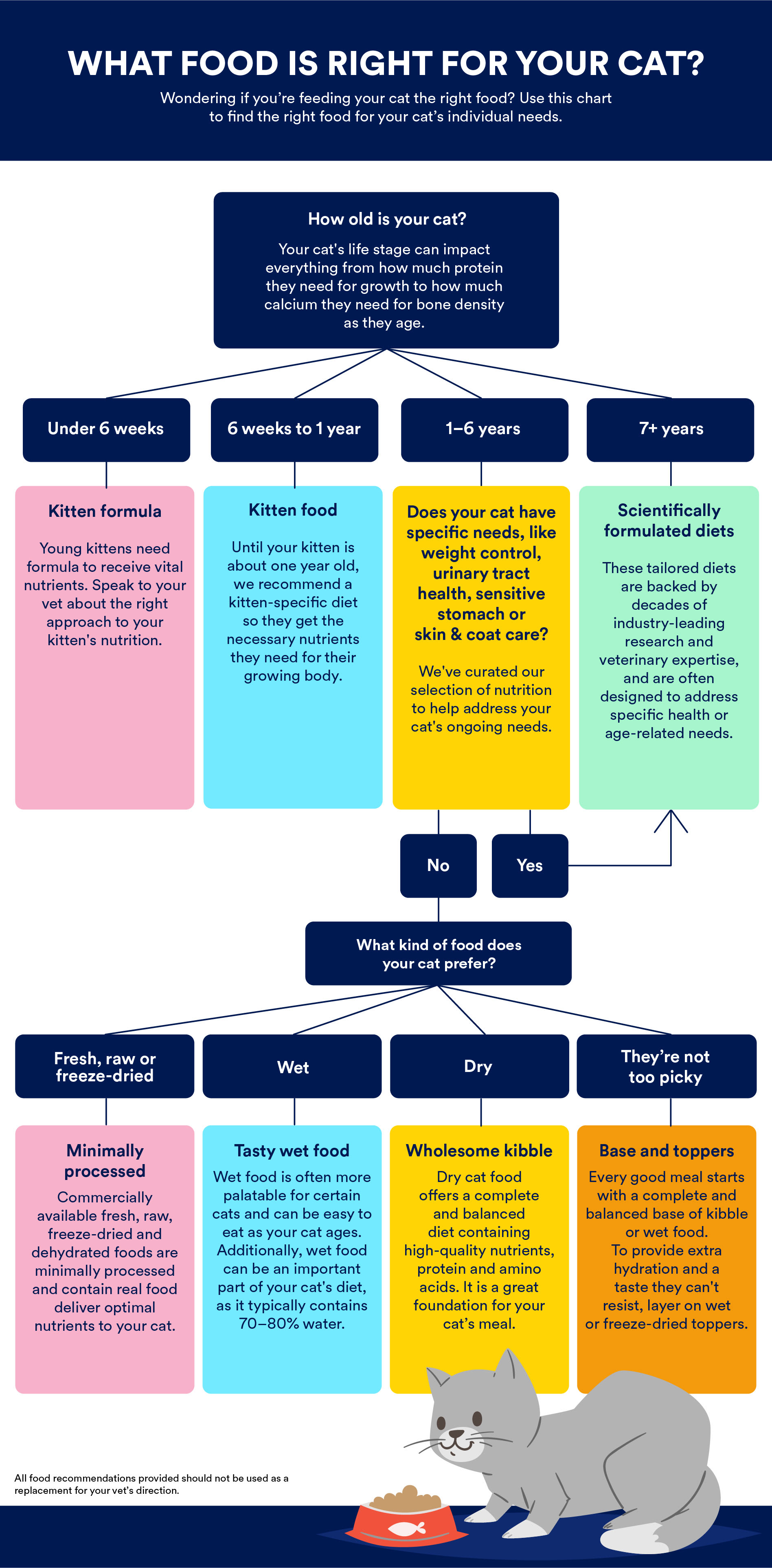 Finding the right food for your cat - Infographic