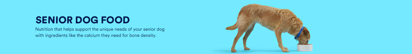 innova dog food petco