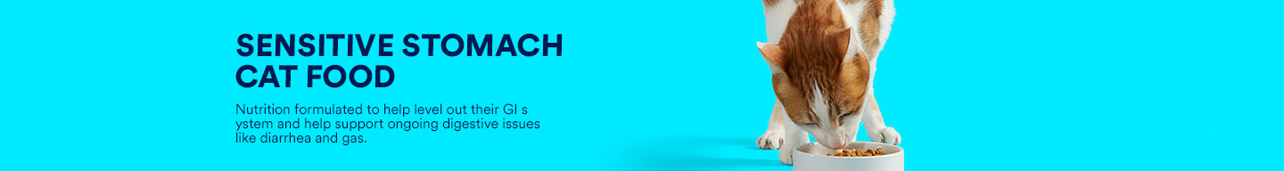 cat food sensitive stomach diarrhea