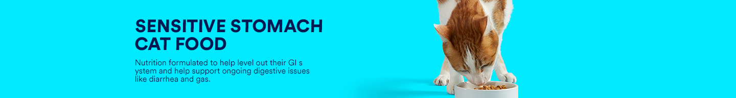 Sensitive stomach cat food. Nutrition formulated to help level out their GI system and help support ongoing digestive issues like diarrhea and gas.
