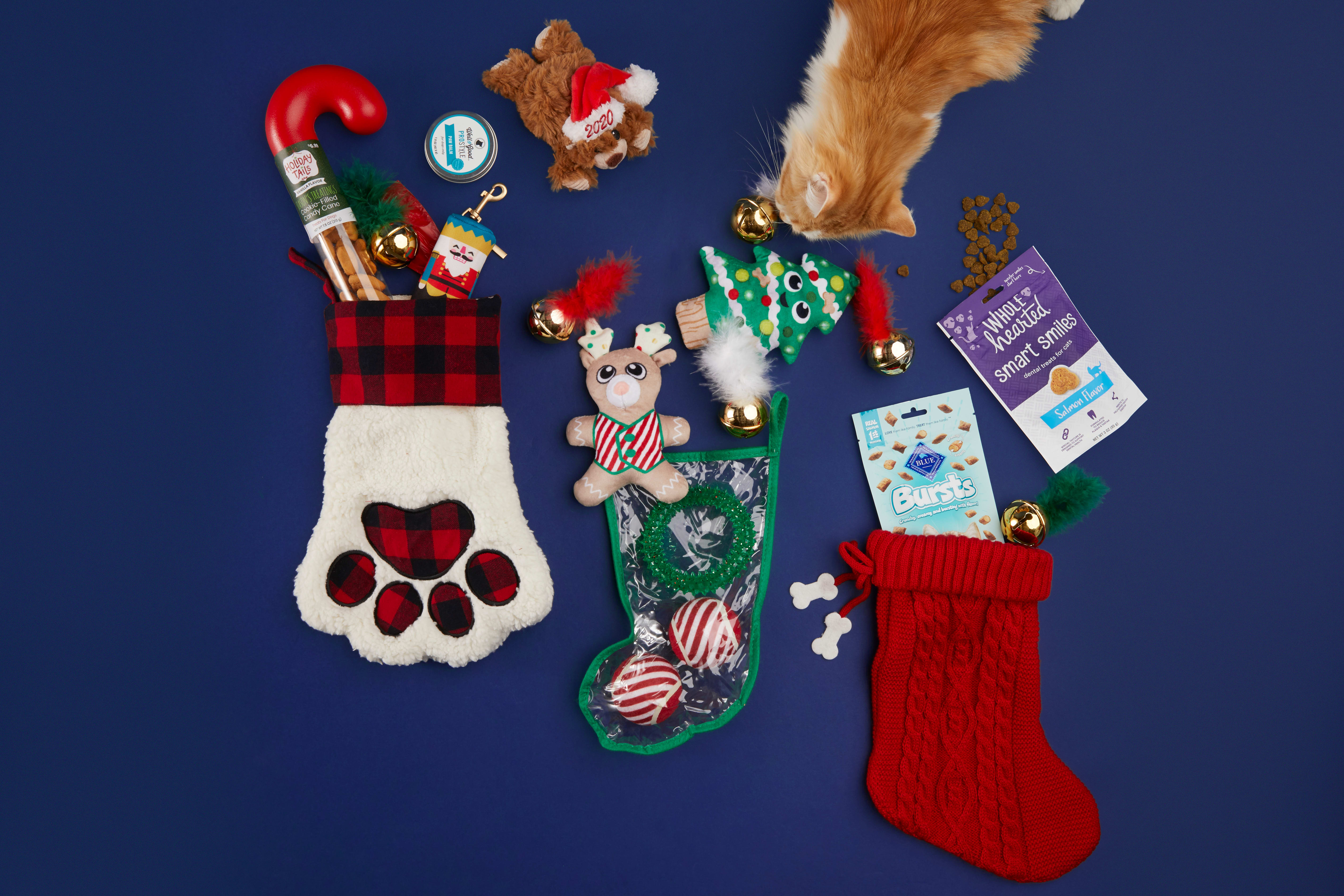 8 Great Pet Stocking Stuffer Ideas 