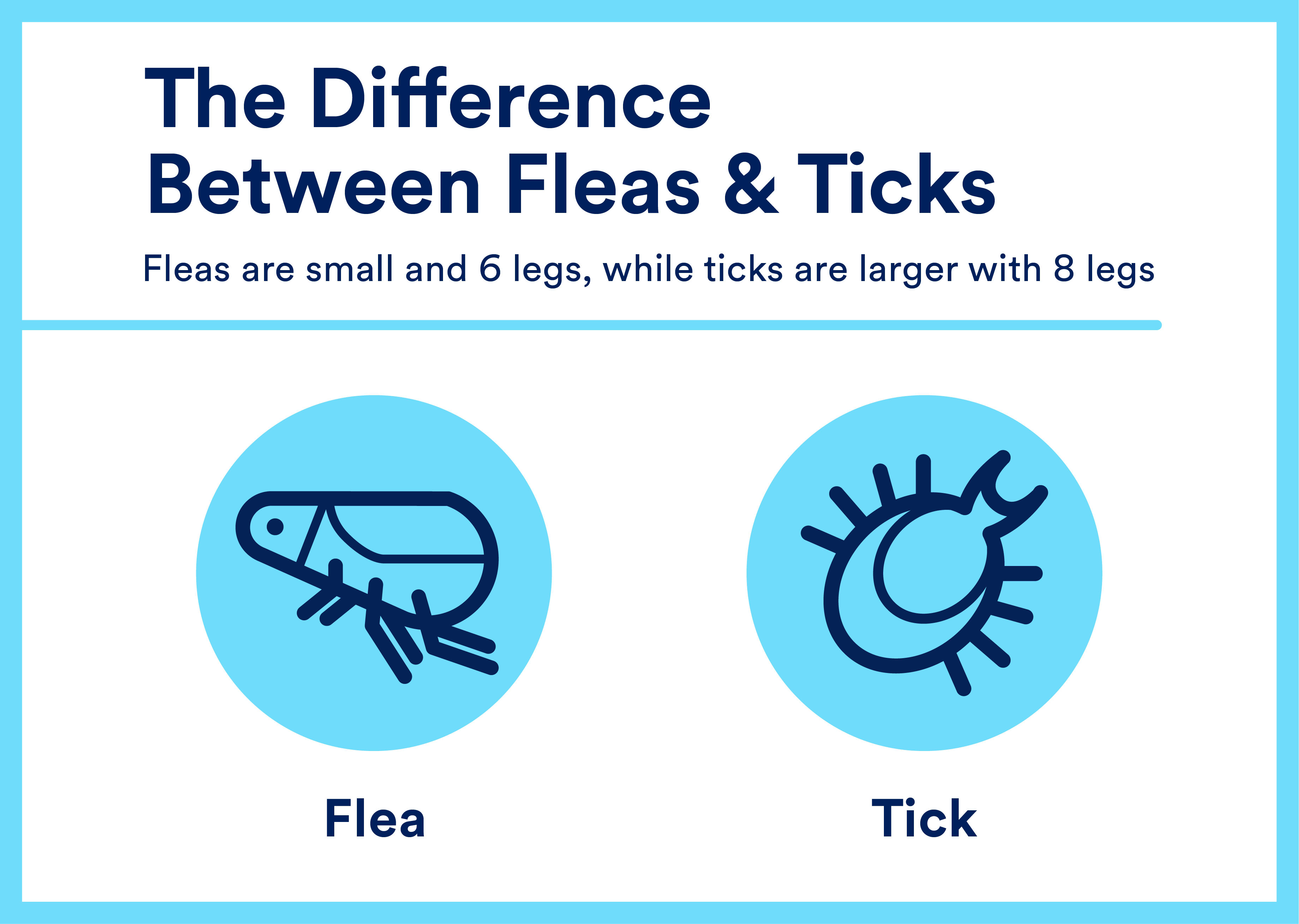 Infographic image