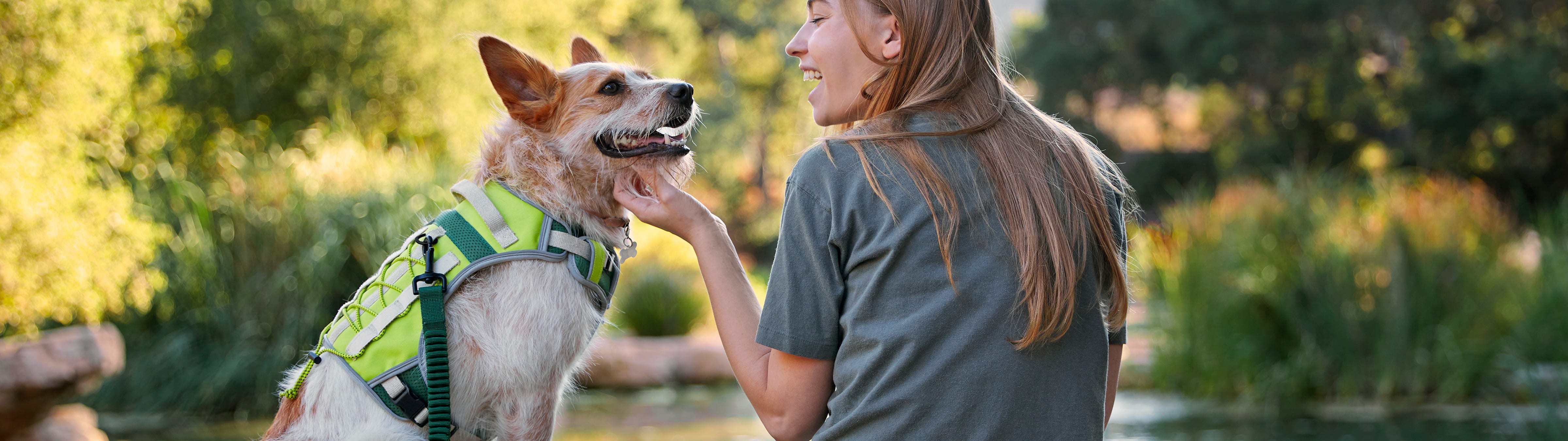 Hiking With Your Dog Petco