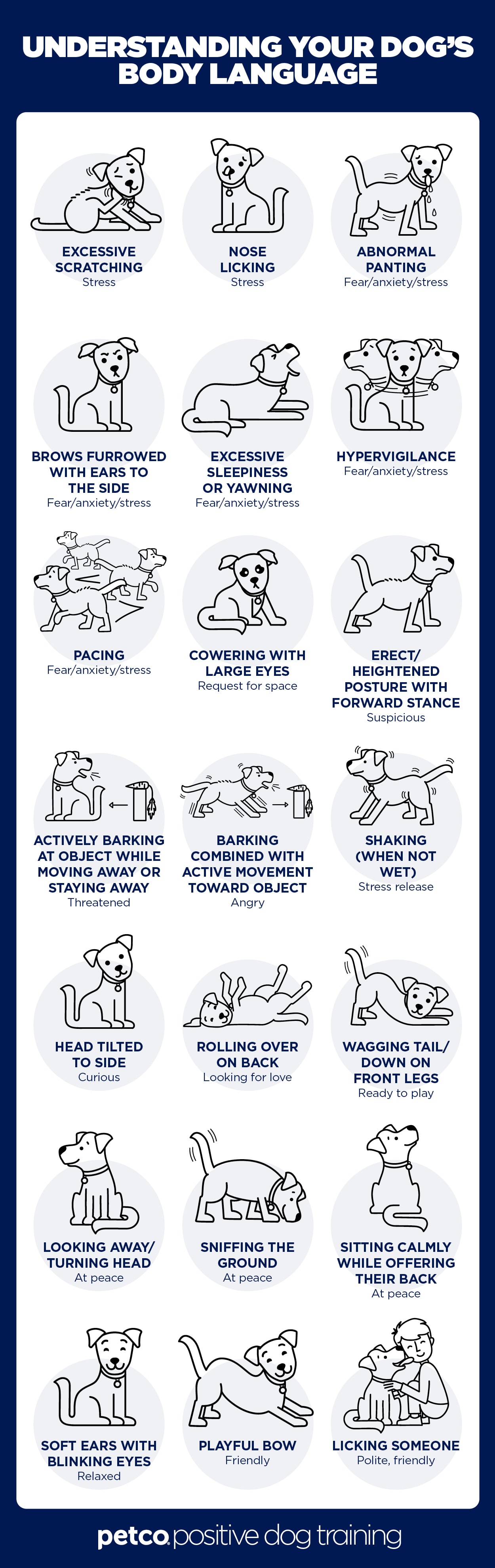 I. Understanding the Basics of Dog Body Language
