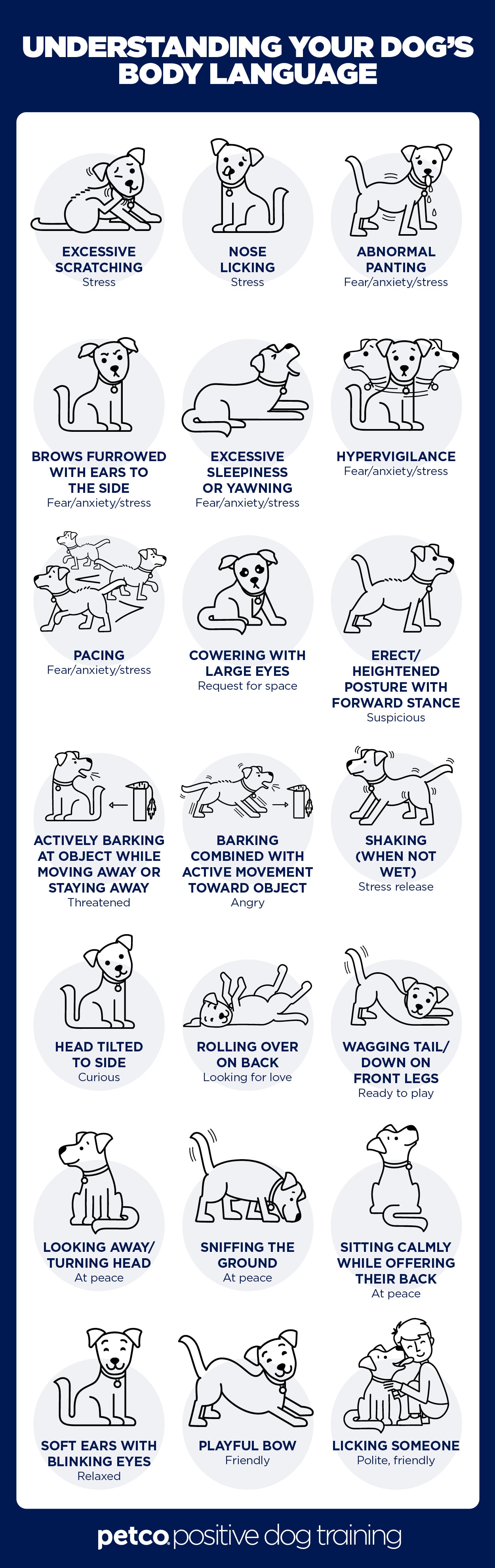 Understanding Dog Body Language Petco