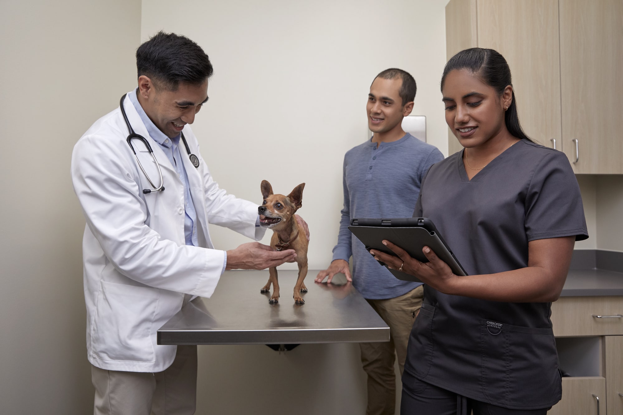 Petco Veterinary Services Quality Care For Your Pet Petco