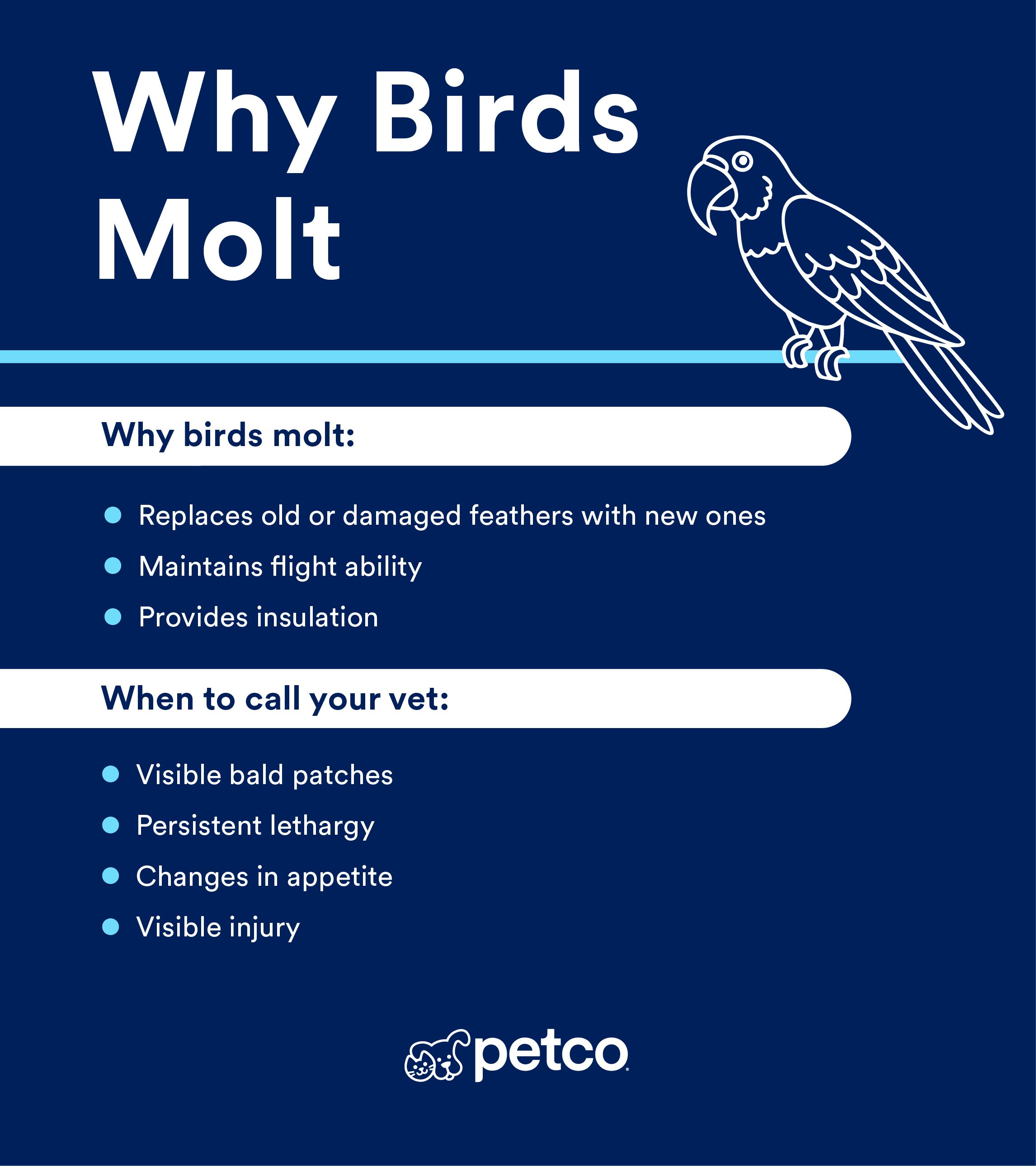 Infographic image