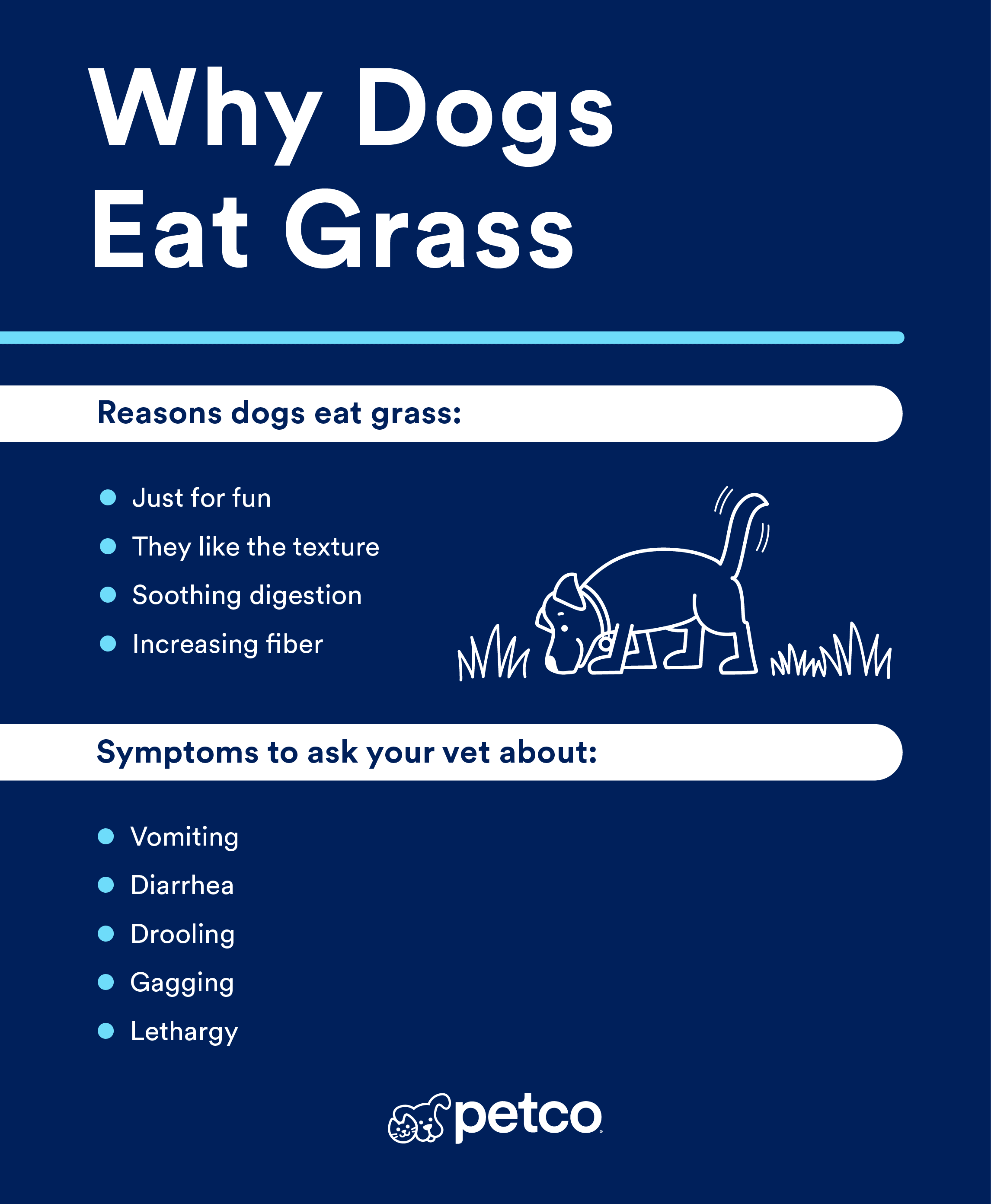Infographic image