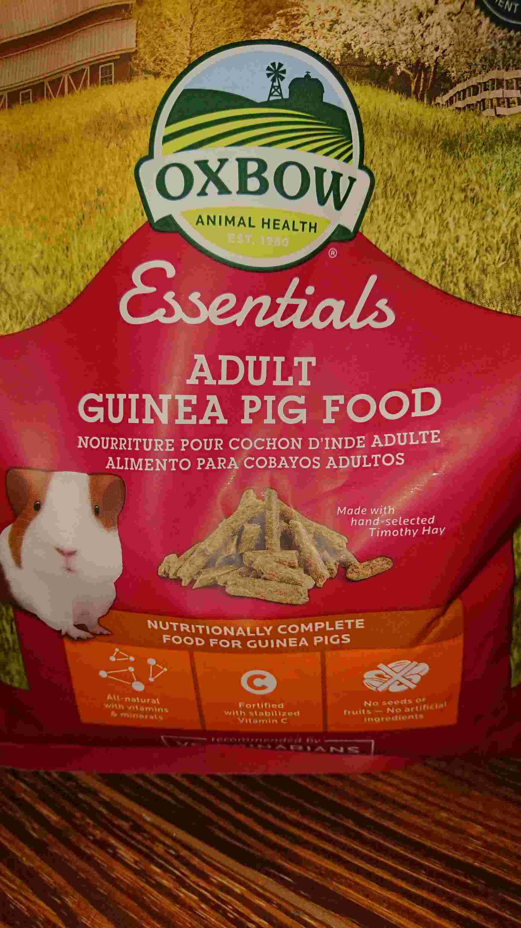 Thumbnail for Food For Guinea Pigs With Hair Loss