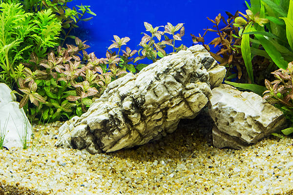 aquarium rock hardscaping