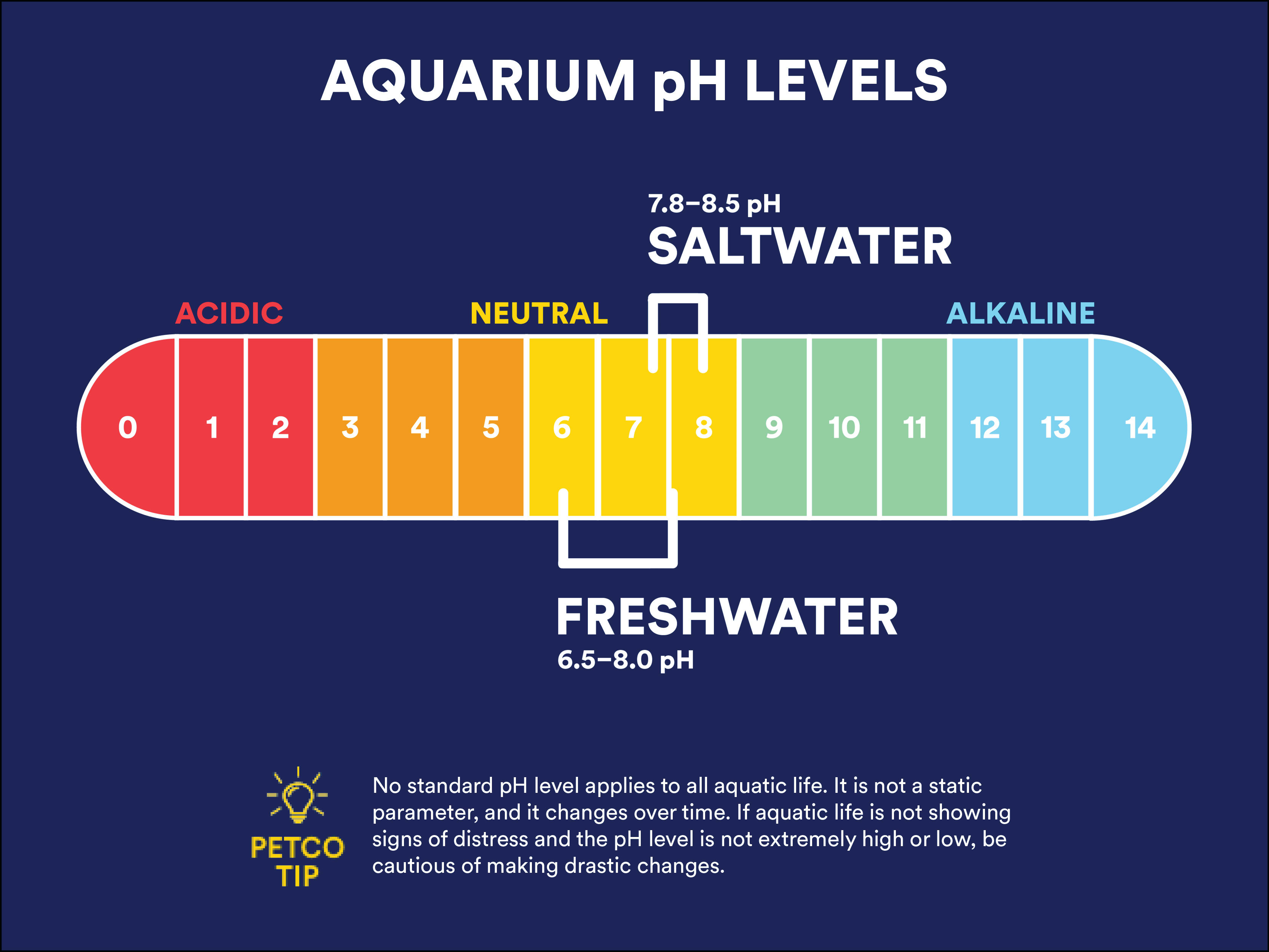 Recommended Salwater and Freshwater Aquarium pH Levels