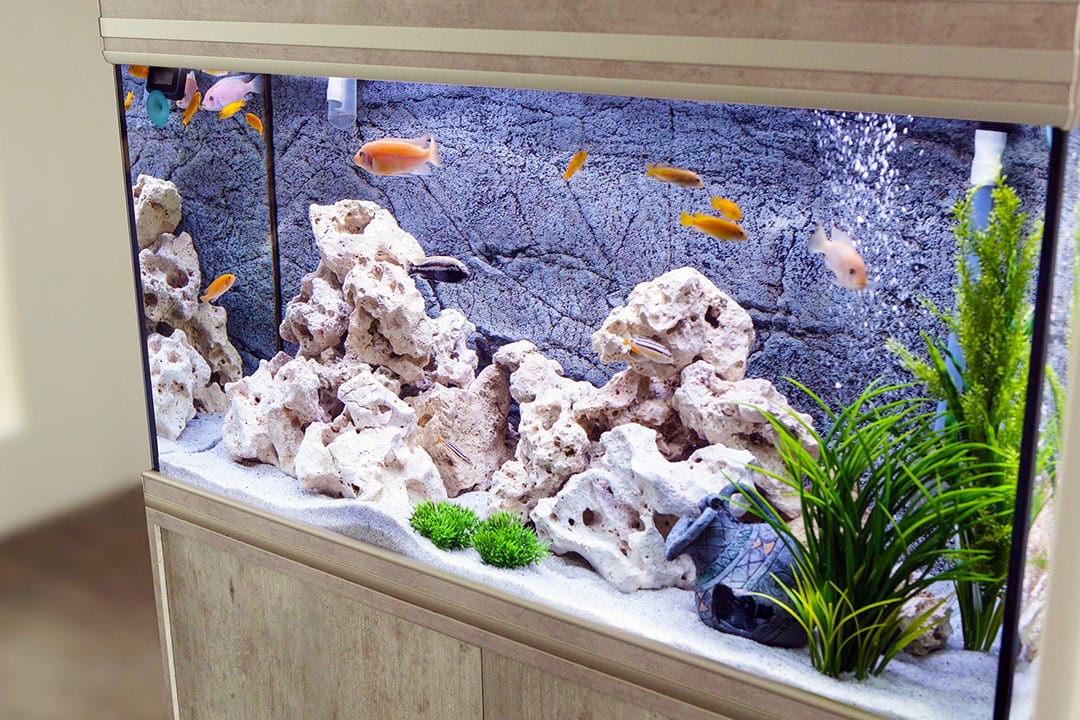 Reef Tank Log: Customized Saltwater Fish Keeper Maintenance