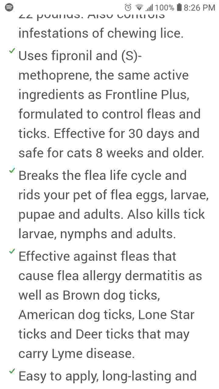 Picture of What flea treatment is safe for my pregnant cat with fleas now? | Petco